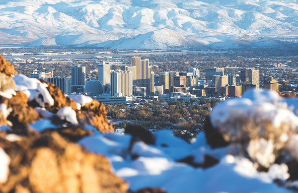 Relocating to Reno, Nevada: Top 5 Companies Fueling Growth and Opportunity
